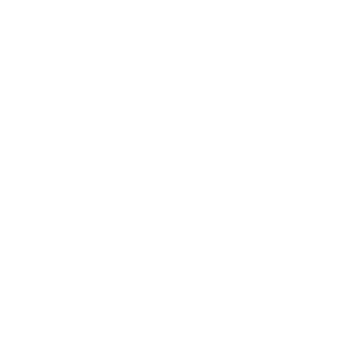 Perplexity logo