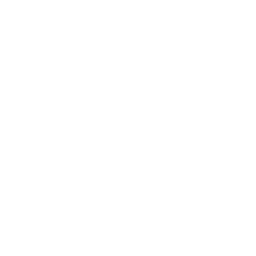 AI intelligence visualization icon