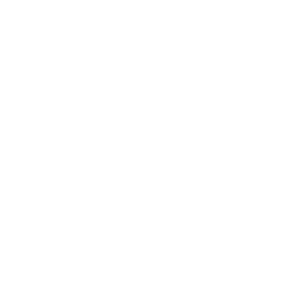 Testing and QA icon