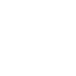 Google visibility icon