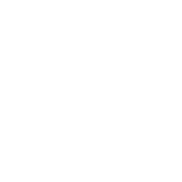Growth partnership icon