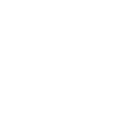 Local Visibility icon