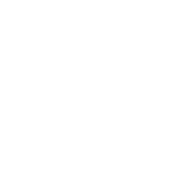 GEO and local SEO location icon