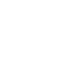 Trust Signals icon