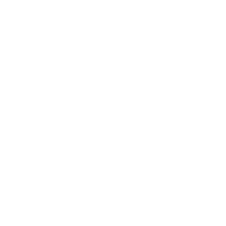 Discovery call icon