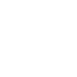 Voice search optimization icon